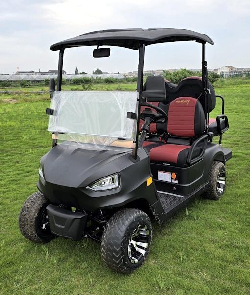 48V Electric Golf Cart 4 Seater Renegade X Edition Utility Golf UTV – BLACK - Prioka