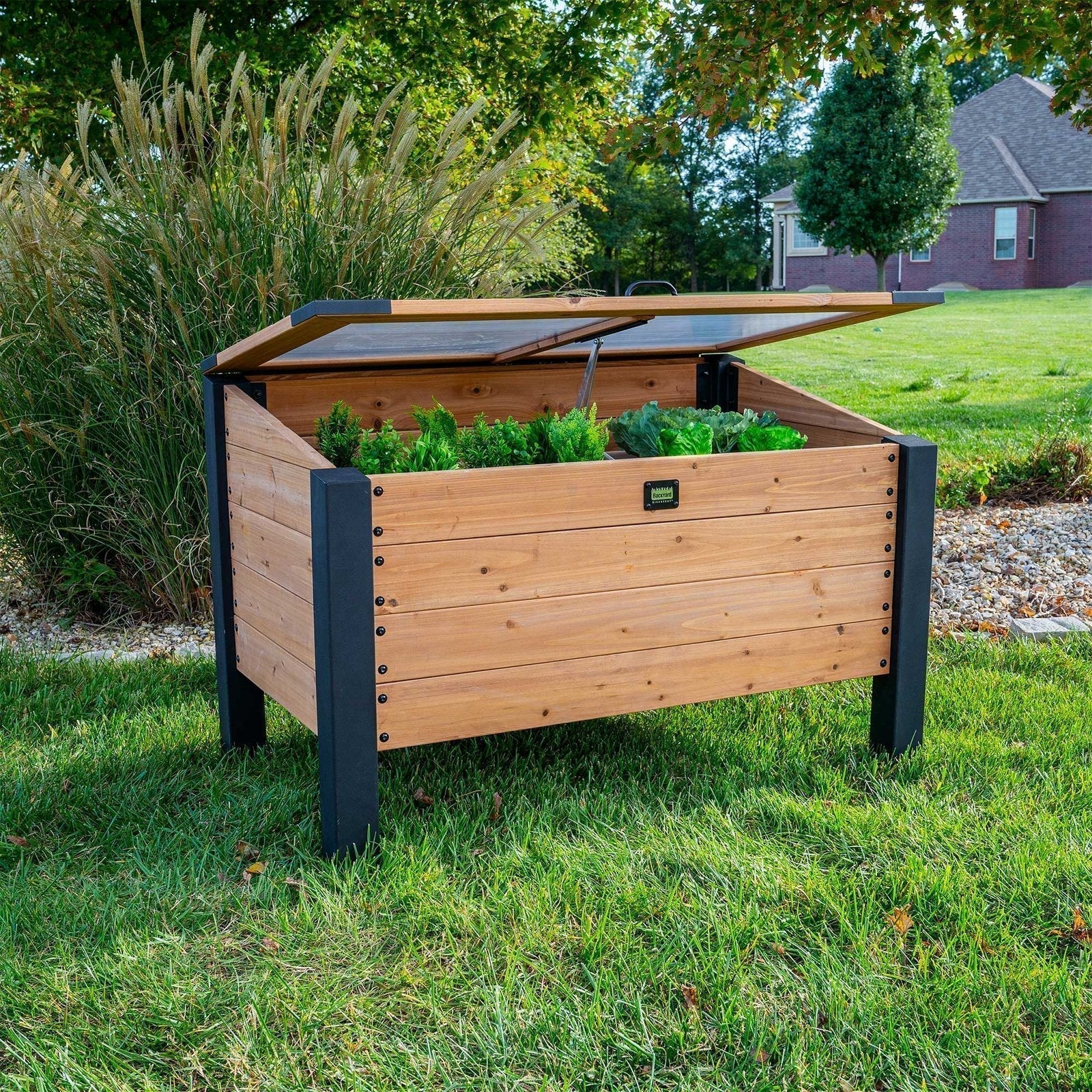 aggie-cold-frame-box-7222779 Aggie Cold Frame Box - Prioka