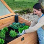 Aggie Cold Frame Box - Image 9