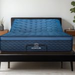 Ascension® Luxe Adjustable Power Base