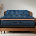Ascension® Ultra Adjustable Power Base