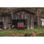 Axis 500 4×4 UTV Red - Image 10
