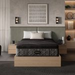 Beautyrest Black® Hybrid Series Two Medium Apex Top Mattress - Prioka