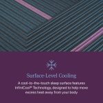 Beautyrest World Class Hybrid Level Three Firm 13" Mattress - Image 8