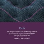 Beautyrest World Class Level Three Plush Mattress - Image 8