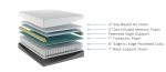 Bedplanet 12” EcoCore Hybrid Mattress – Soy-Based Foam & Pocketed Coils - Image 8