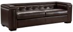 Caudalie Leather Sofa