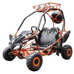 DongFang 125cc Kids Go Karts Type-GTS - Prioka