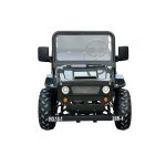 Massimo Minis 125 Go Karts 125cc 9hp - Image 3