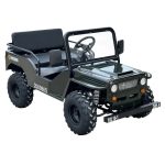 Massimo Minis 125 Go Karts 125cc 9hp - Prioka