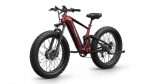 PUCKIPUPPY GoldenR Dual-Motor E-Bikes. - Image 5