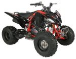 Regency PRO Ultra Sport 250cc ATV - Image 10