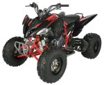 Regency PRO Ultra Sport 250cc ATV - Image 4