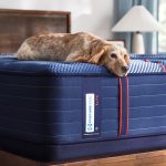Sealy Posturepedic Elite Spring Albany II 14" Firm Tight Top Mattress - Image 9