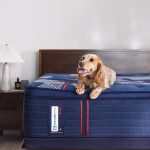 Sealy Posturepedic Elite Spring Albany II 15" Soft Euro Pillowtop Mattress - Image 9