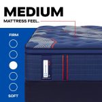 Sealy Posturepedic Elite Spring Brenham II 16" Medium Euro Pillowtop Mattress - Image 13