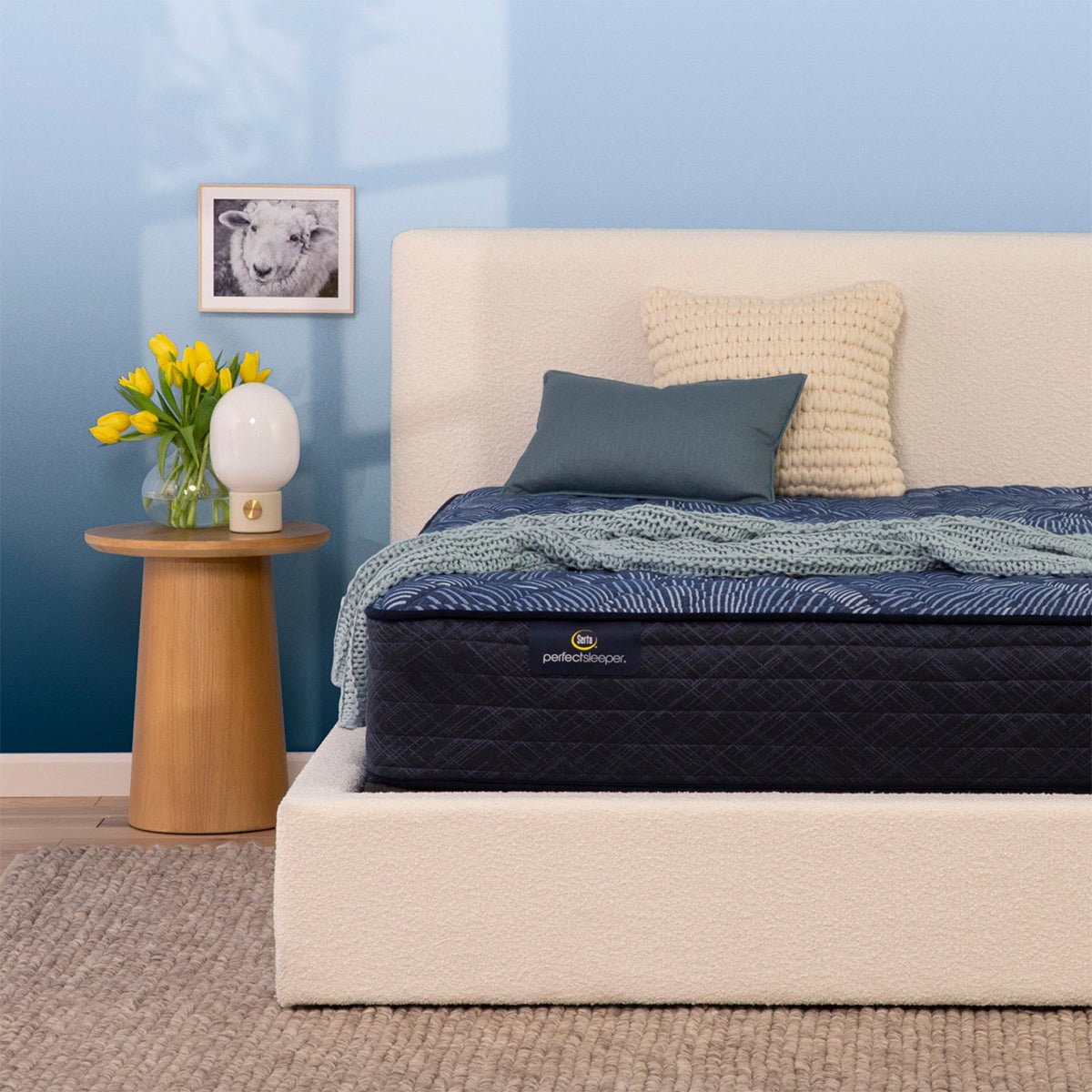 serta-perfect-sleeper-oasis-sleep-12-extra-firm-mattress-4211270 Serta Perfect SleeperĀ® Oasis Sleep 12" Extra Firm Mattress - Image 1