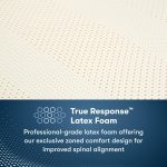 Serta Perfect Sleeper Pro Dublin 13.75" Medium Firm Mattress - Image 5