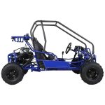 Taotao GK110 Kids Gas Go Kart Dune Buggys. - Image 3