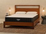 Titan® Plus Core - Image 8
