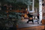 Traeger Grills Pro Series 22 Electric Wood Pellet Grill and Smoker - Image 42
