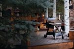 Traeger Grills Pro Series 22 Electric Wood Pellet Grill and Smoker - Image 35
