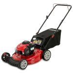 Troy-Bilt 21″ Gas Push Mower - Image 2