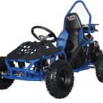 X-Pro Rover 50 Go Karts. - Prioka